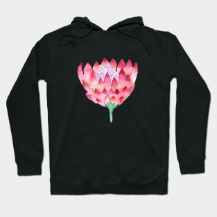 Watercolor Large Floral Proteas Hoodie